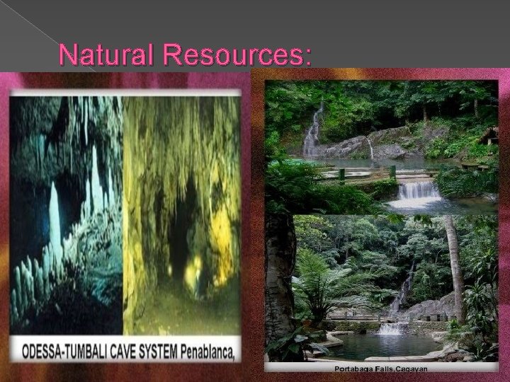 Natural Resources: 