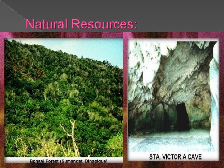 Natural Resources: 