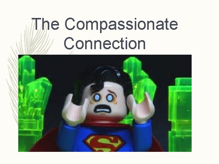 The Compassionate Connection 
