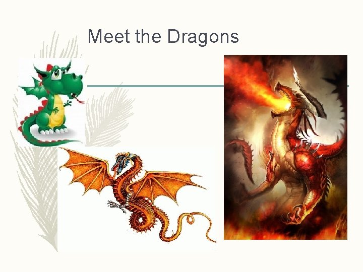 Meet the Dragons 