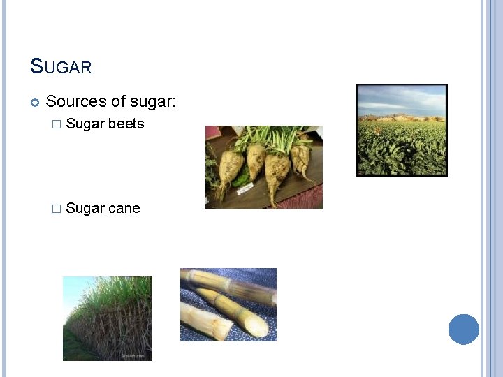 SUGAR Sources of sugar: � Sugar beets � Sugar cane 