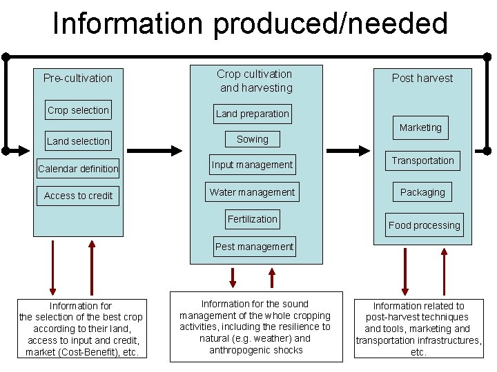 Information produced/needed Pre-cultivation Crop cultivation and harvesting Crop selection Land preparation Post harvest Marketing