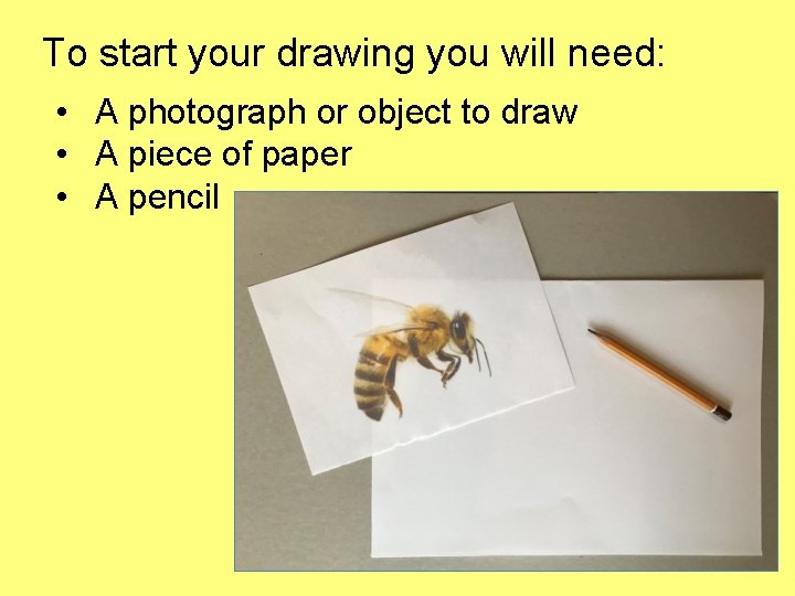 To start your drawing you will need: • A photograph or object to draw