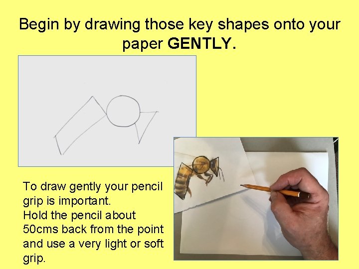 Begin by drawing those key shapes onto your paper GENTLY. To draw gently your