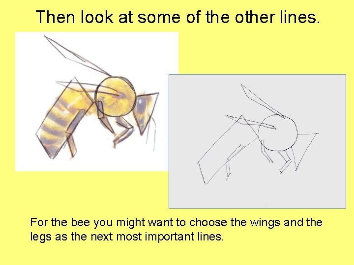 Then look at some of the other lines. For the bee you might want