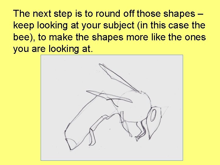 The next step is to round off those shapes – keep looking at your