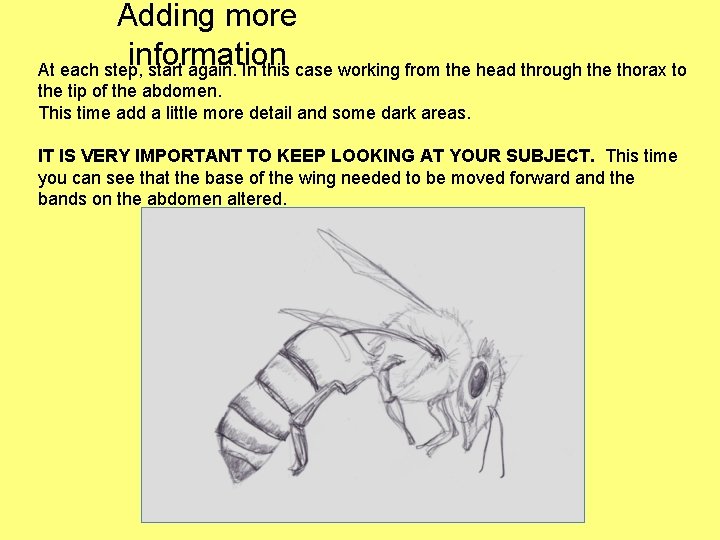 Adding more information At each step, start again. In this case working from the