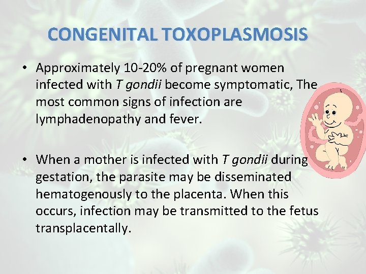 CONGENITAL TOXOPLASMOSIS • Approximately 10 -20% of pregnant women infected with T gondii become