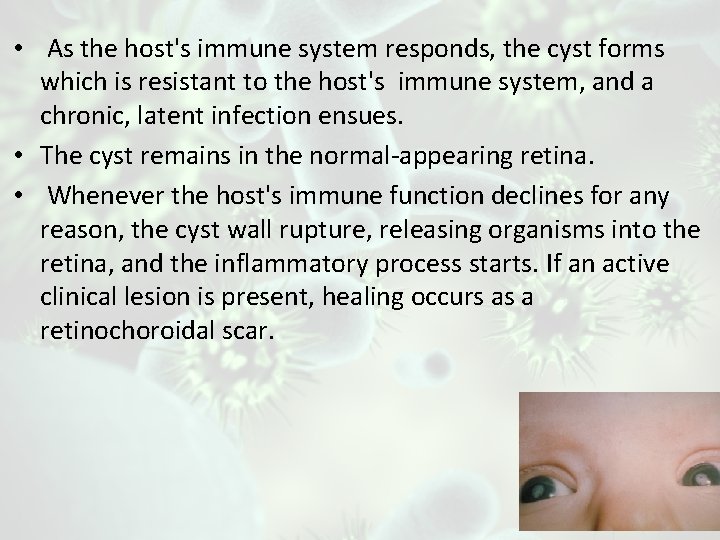  • As the host's immune system responds, the cyst forms which is resistant