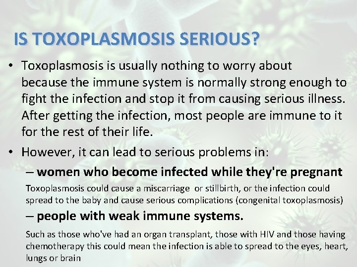 IS TOXOPLASMOSIS SERIOUS? • Toxoplasmosis is usually nothing to worry about because the immune