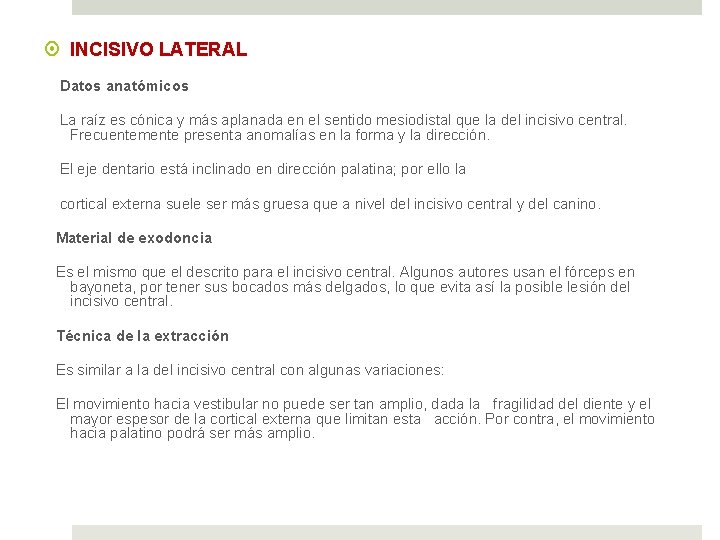  INCISIVO LATERAL Datos anatómicos La raíz es cónica y más aplanada en el