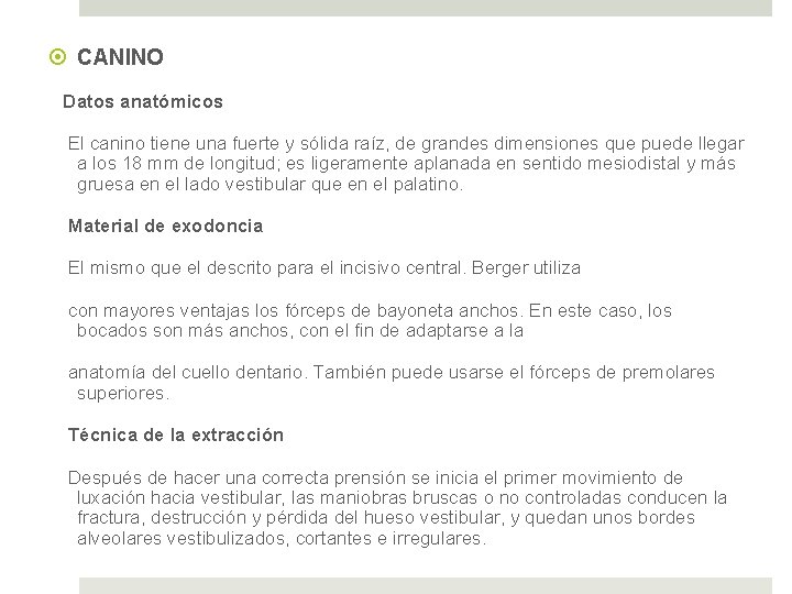  CANINO Datos anatómicos El canino tiene una fuerte y sólida raíz, de grandes