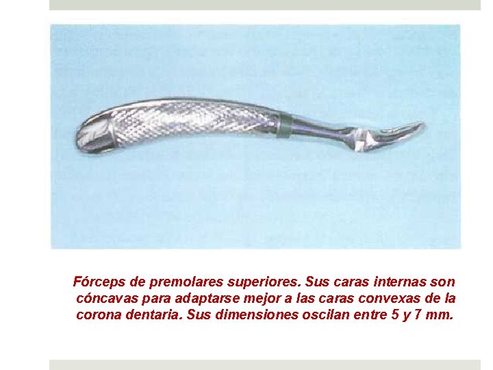 Fórceps de premolares superiores. Sus caras internas son cóncavas para adaptarse mejor a las
