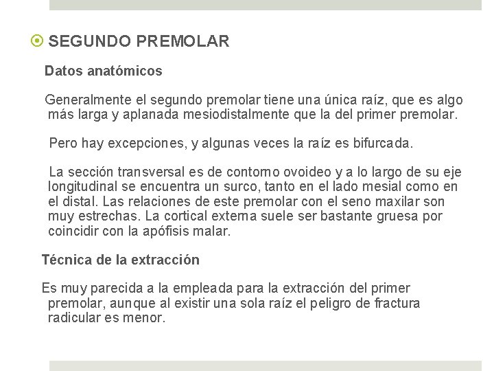  SEGUNDO PREMOLAR Datos anatómicos Generalmente el segundo premolar tiene una única raíz, que