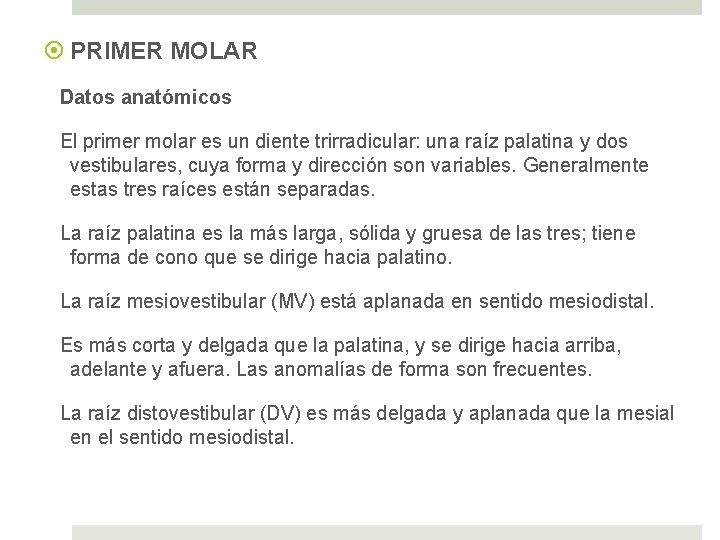  PRIMER MOLAR Datos anatómicos El primer molar es un diente trirradicular: una raíz