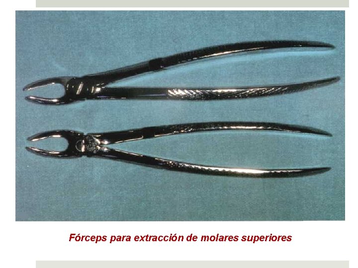 Fórceps para extracción de molares superiores 