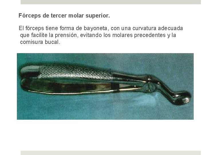 Fórceps de tercer molar superior. El fórceps tiene forma de bayoneta, con una curvatura