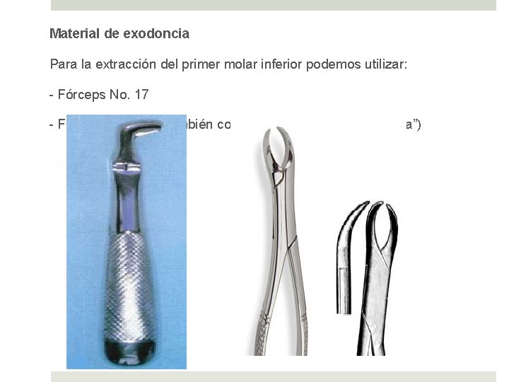 Material de exodoncia Para la extracción del primer molar inferior podemos utilizar: - Fórceps