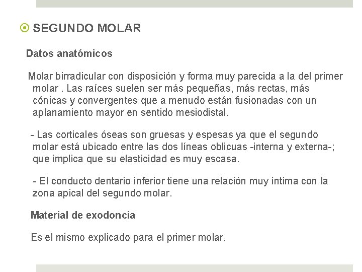  SEGUNDO MOLAR Datos anatómicos Molar birradicular con disposición y forma muy parecida a
