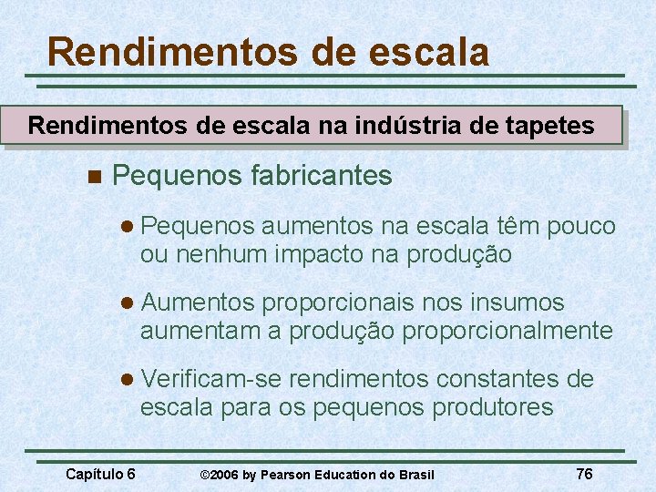 Rendimentos de escala na indústria de tapetes n Pequenos fabricantes l Pequenos aumentos na