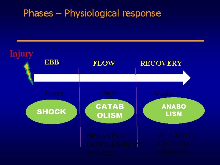 Phases – Physiological response Injury EBB Hours SHOCK FLOW RECOVERY Days CATAB OLISM BREAKING