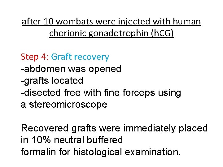 after 10 wombats were injected with human chorionic gonadotrophin (h. CG) Step 4: Graft