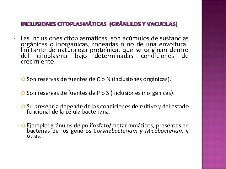 INCLUSIONES CITOPLASMÁTICAS (GRÁNULOS Y VACUOLAS) Las inclusiones citoplasmáticas, son acúmulos de sustancias orgánicas o INCLUSIONES CITOPLASMÁTICAS (GRÁNULOS Y VACUOLAS) Las inclusiones citoplasmáticas, son acúmulos de sustancias orgánicas o