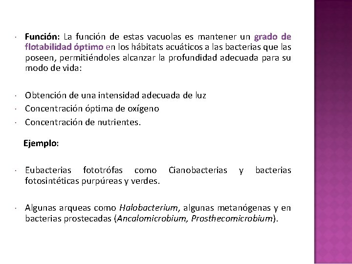 Función: La función de estas vacuolas es mantener un grado de flotabilidad óptimo Función: La función de estas vacuolas es mantener un grado de flotabilidad óptimo
