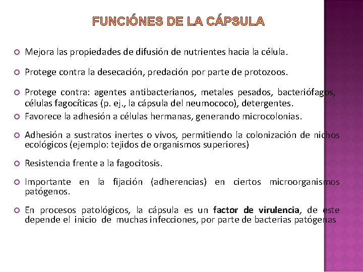 FUNCIÓNES DE LA CÁPSULA Mejora las propiedades de difusión de nutrientes hacia la célula. FUNCIÓNES DE LA CÁPSULA Mejora las propiedades de difusión de nutrientes hacia la célula.