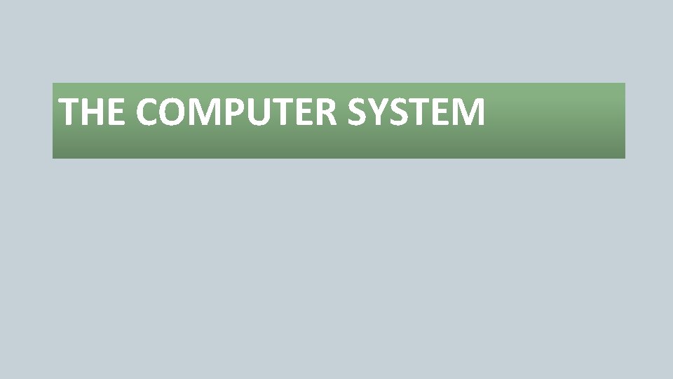 THE COMPUTER SYSTEM 