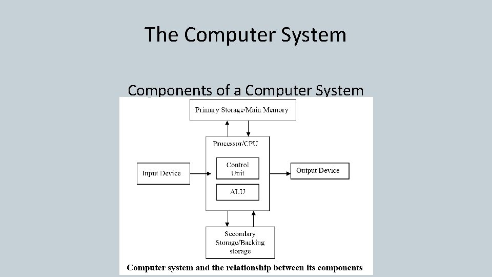 The Computer System Components of a Computer System 