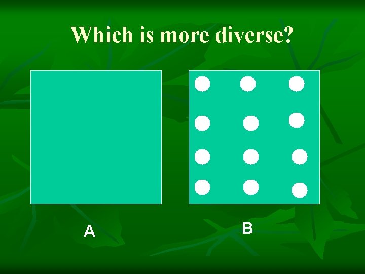 Which is more diverse? A B 