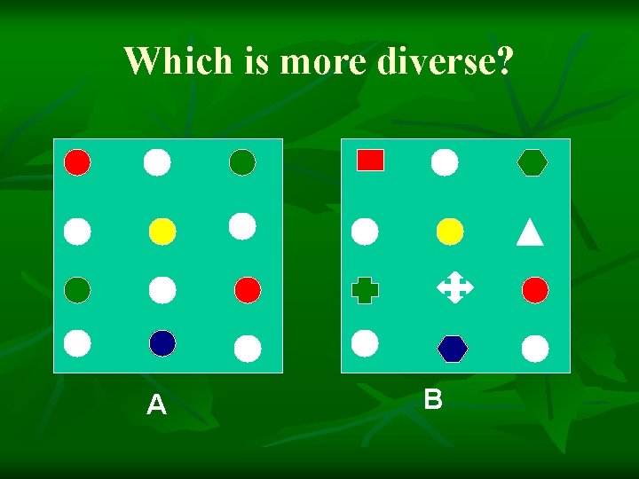 Which is more diverse? A B 