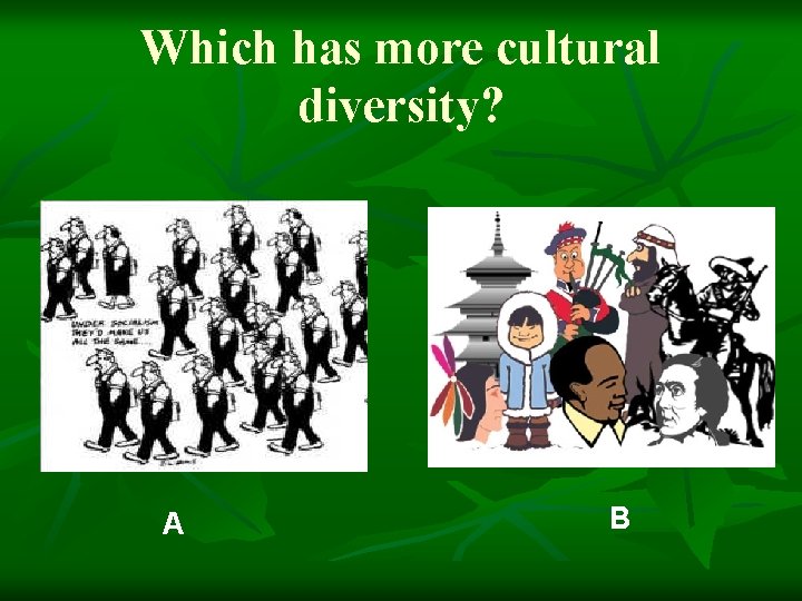 Which has more cultural diversity? A B 