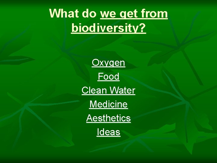 What do we get from biodiversity? Oxygen Food Clean Water Medicine Aesthetics Ideas 