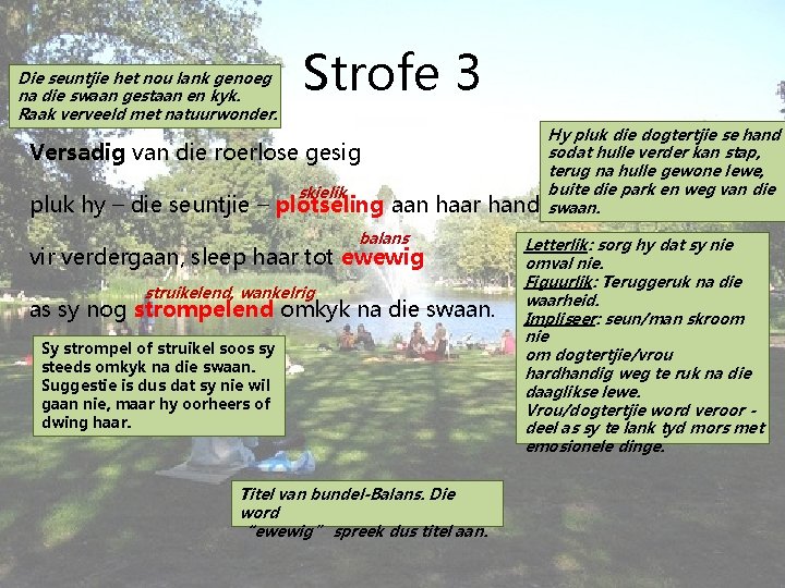 Die seuntjie het nou lank genoeg na die swaan gestaan en kyk. Raak verveeld