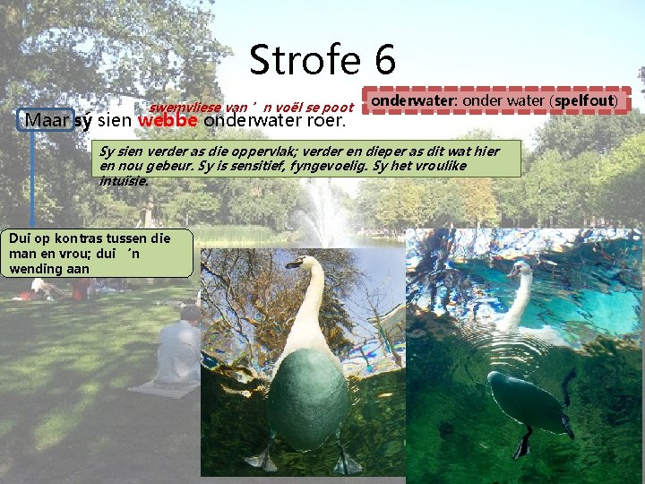 Strofe 6 swemvliese van ’n voël se poot Maar sý sien webbe onderwater roer.