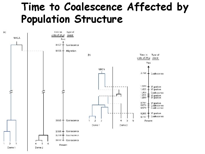 Time to Coalescence Affected by Population Structure 