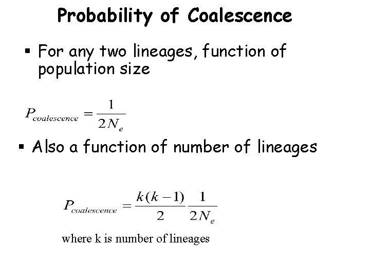 Probability of Coalescence § For any two lineages, function of population size § Also