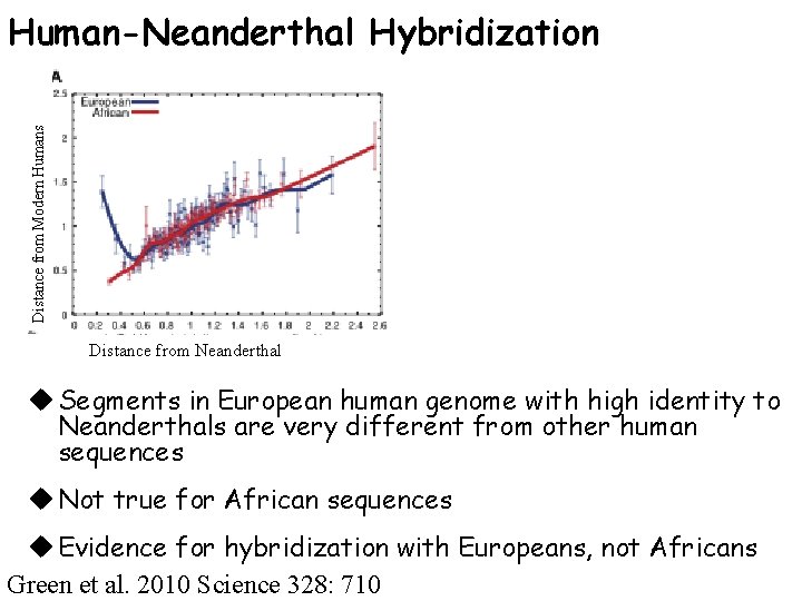 Distance from Modern Humans Human-Neanderthal Hybridization Distance from Neanderthal u Segments in European human