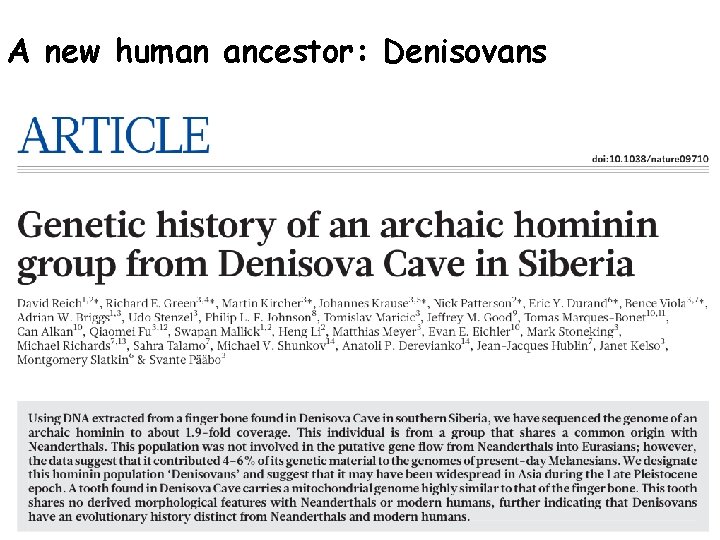 A new human ancestor: Denisovans 