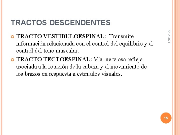 TRACTOS DESCENDENTES 6/12/2021 TRACTO VESTIBULOESPINAL: Transmite información relacionada con el control del equilibrio y