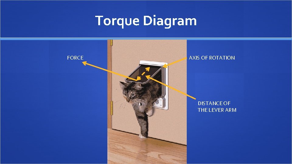 Torque Diagram FORCE AXIS OF ROTATION DISTANCE OF THE LEVER ARM 