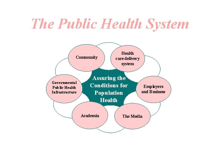 The Public Health System Community Governmental Public Health Infrastructure Health care delivery system Assuring