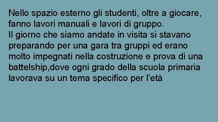 Nello spazio esterno gli studenti, oltre a giocare, fanno lavori manuali e lavori di