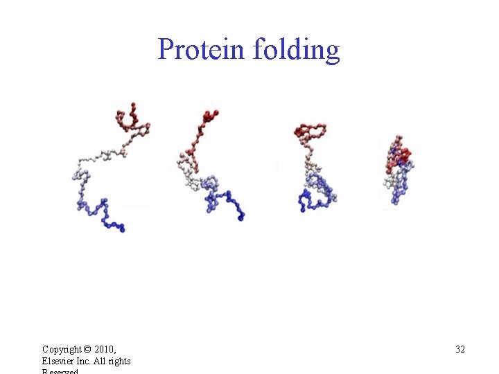 Protein folding Copyright © 2010, Elsevier Inc. All rights 32 Protein folding Copyright © 2010, Elsevier Inc. All rights 32