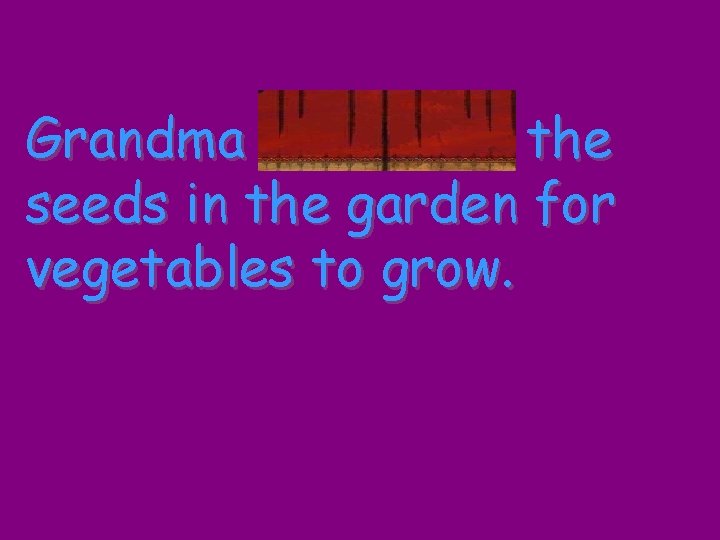 Grandma scattered the seeds in the garden for vegetables to grow. 