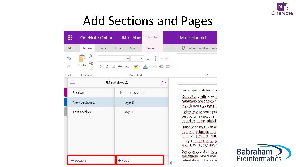Add Sections and Pages 