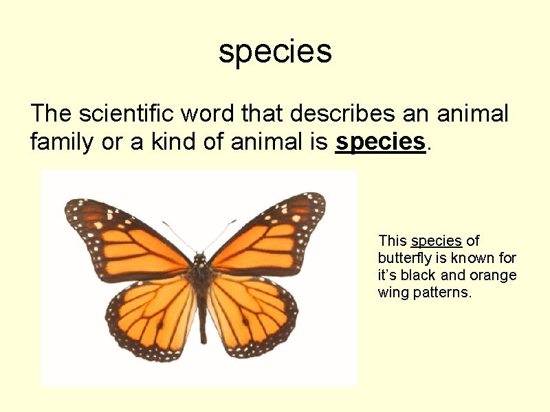 species The scientific word that describes an animal family or a kind of animal