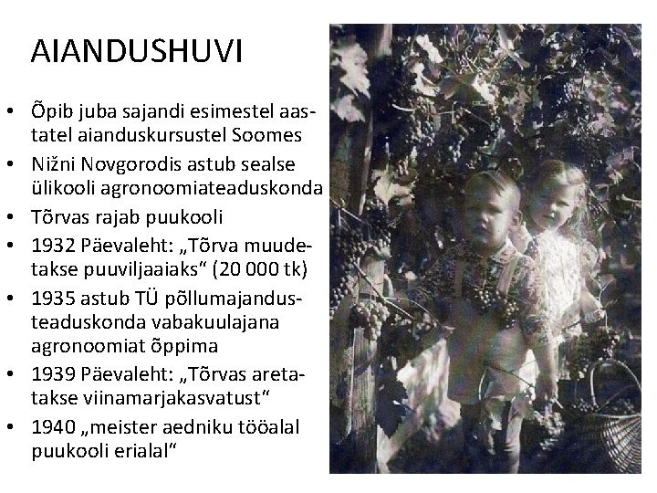 AIANDUSHUVI • Õpib juba sajandi esimestel aastatel aianduskursustel Soomes • Nižni Novgorodis astub sealse